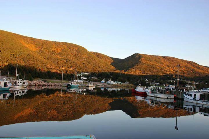 伯顿日落绿洲汽车旅馆 Bay Saint Lawrence 外观 照片