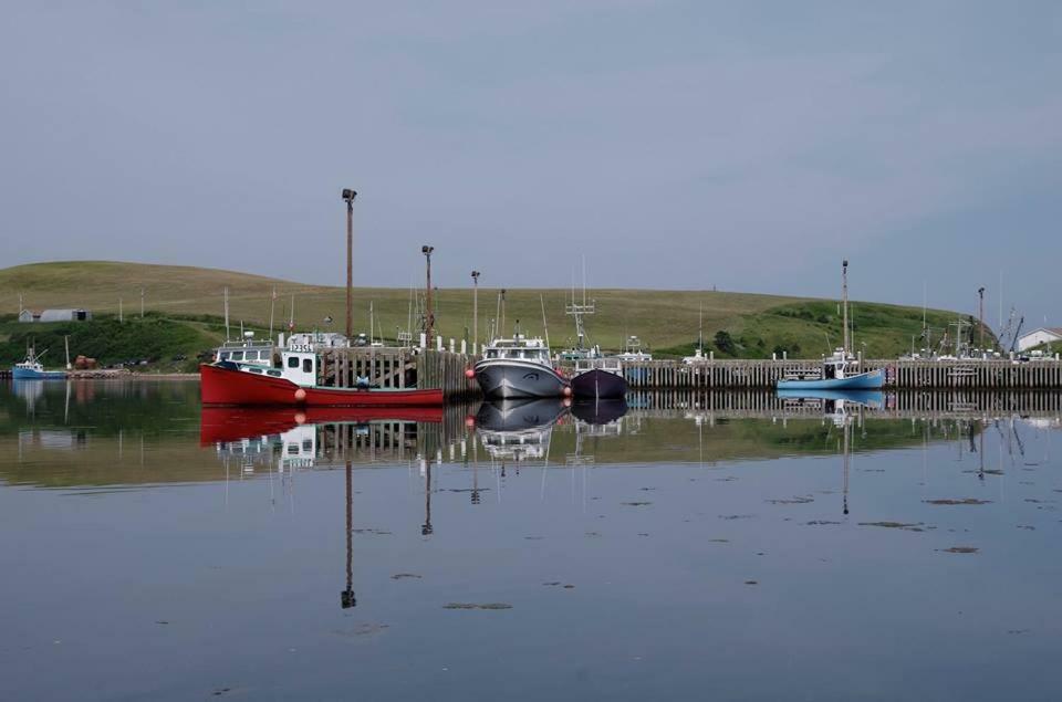 伯顿日落绿洲汽车旅馆 Bay Saint Lawrence 外观 照片
