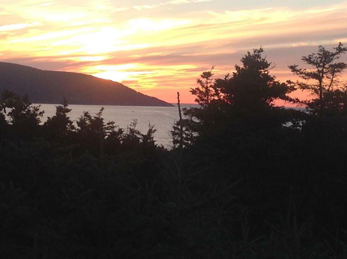 伯顿日落绿洲汽车旅馆 Bay Saint Lawrence 外观 照片