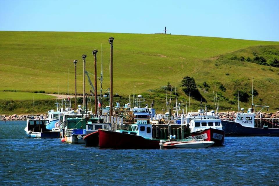 伯顿日落绿洲汽车旅馆 Bay Saint Lawrence 外观 照片